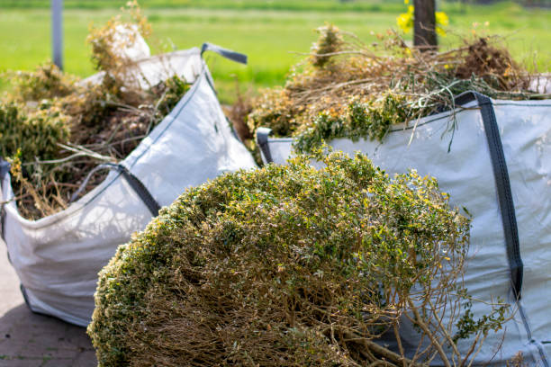 Attic Cleanout Services in Dawson, TX